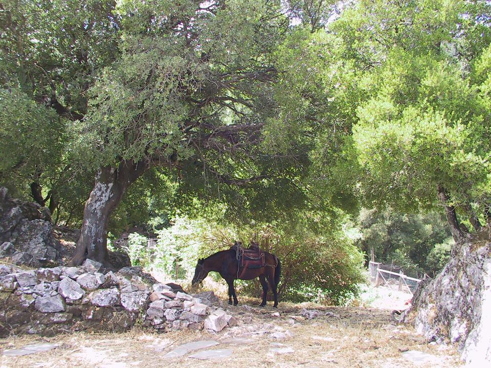 Hotel Agnanti Agios Konstantinos  Exterior photo